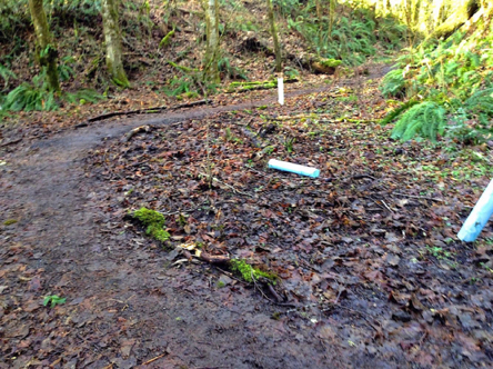 Wet leaves may make the trails mushy and slippery Wet leaves may make the trails mushy and slippery